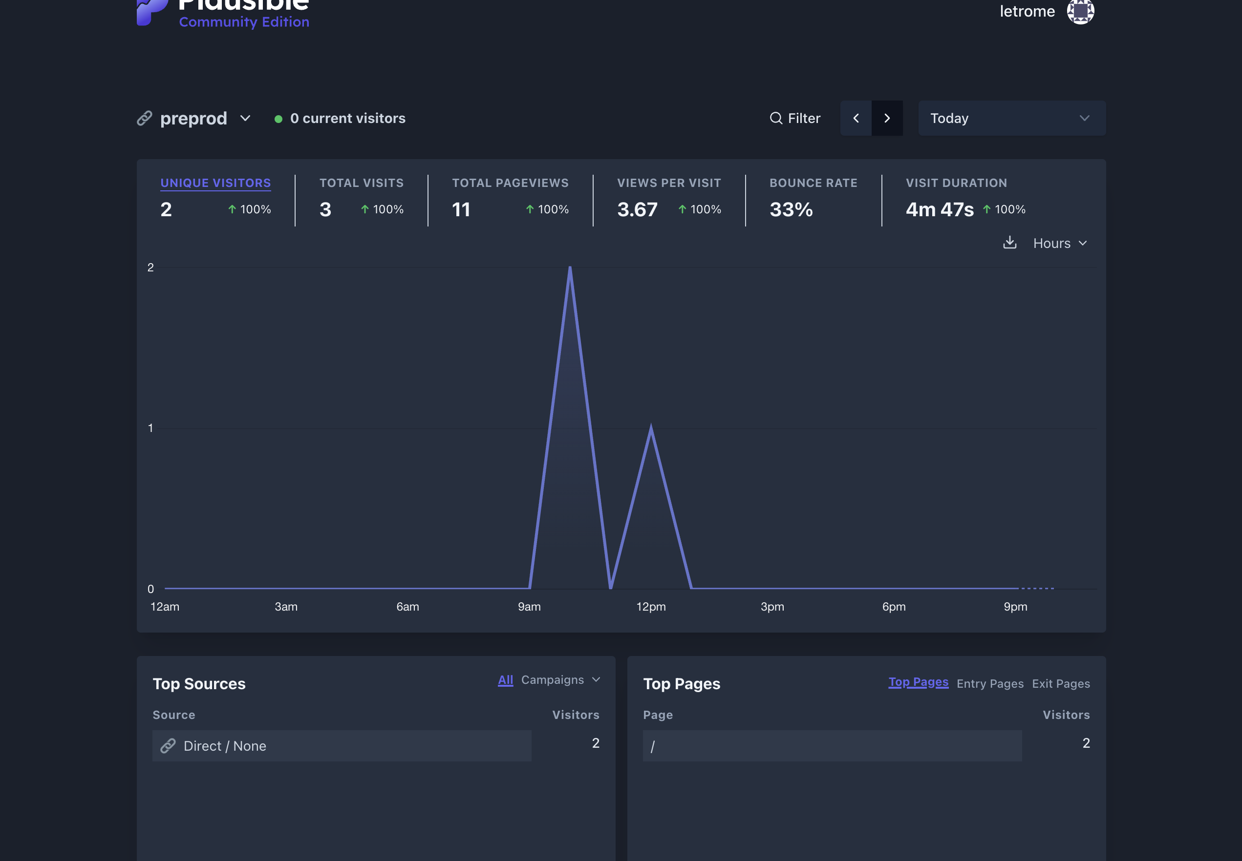Back on the Plausible dashboard, you should start to visualize the first visits